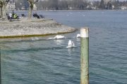 Konstanz am Bodensee