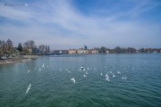 Konstanz am Bodensee