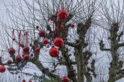 Weihnachtsmarkt Konstanz