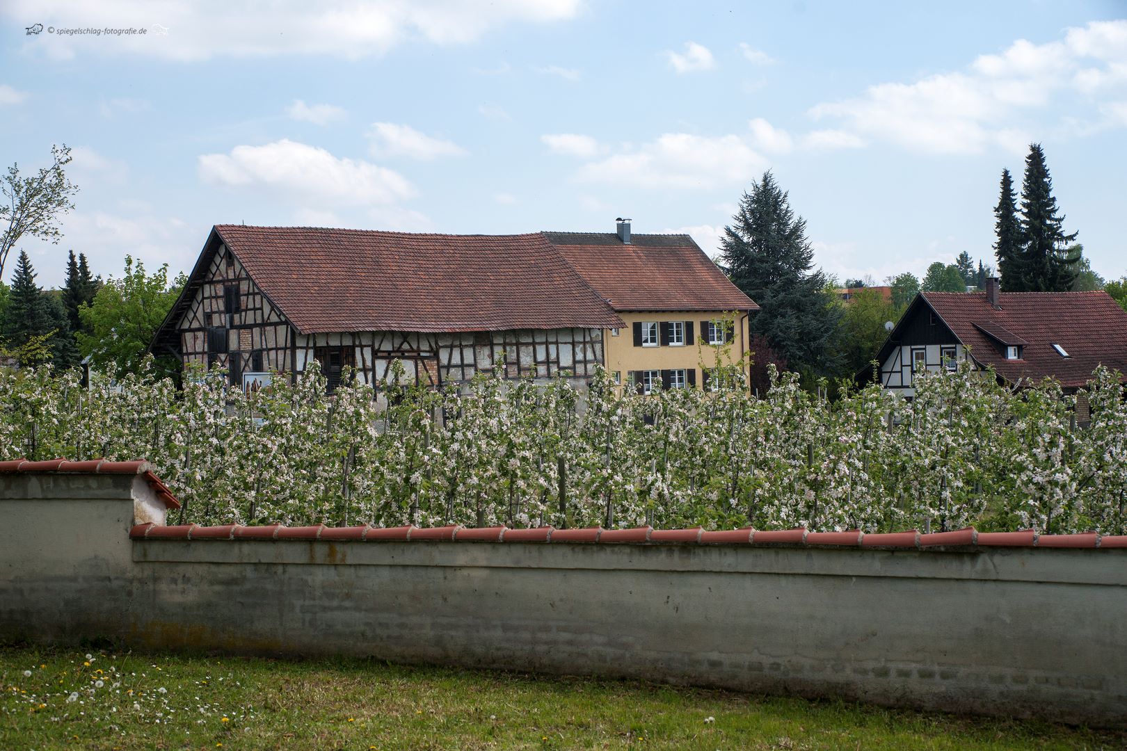 Tettnang - Hopfenmuseum
