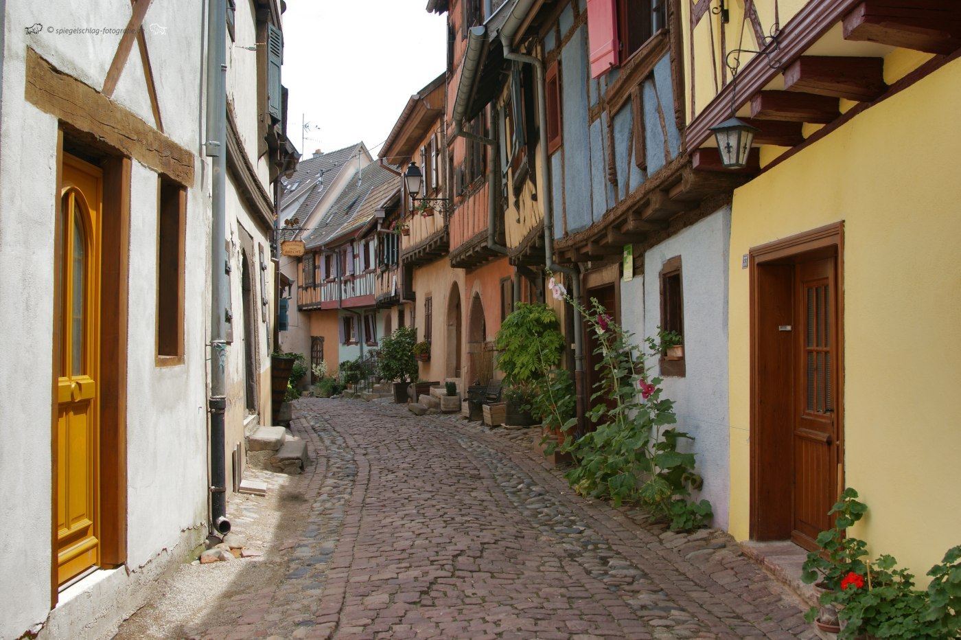 Eguisheim-Elsass