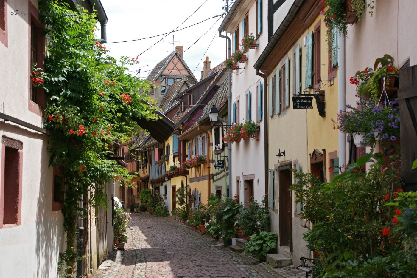 Eguisheim-Elsass