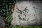 DSC7777