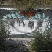 Graffiti_1140421-1x1