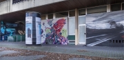 Graffiti_1370667