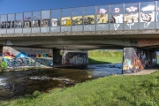 Graffiti_DSC1990
