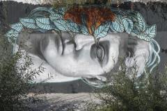 Graffiti_1140421-1x1