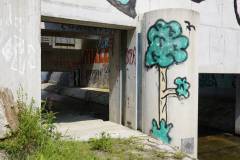 Graffiti_DSC2485 Graffiti_DSC2485