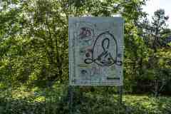 Graffiti_DSC7742 Graffiti_DSC7742