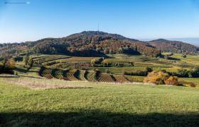 Badberg - Altvogtsburg am Kaiserstuhl