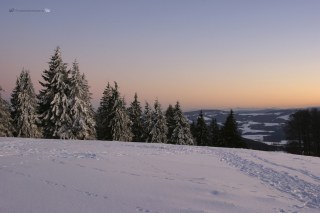 Kandel-Schwarzwald
