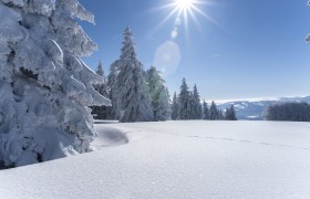 Kandel-Schwarzwald