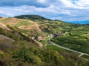 Kaiserstuhl