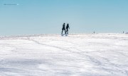 Winter im Schwarzwald
