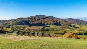 Herbst am Kaiserstuhl