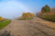 Herbstlicht
