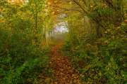 Schönberg im Herbst