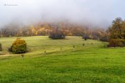 Schönberg im Herbst