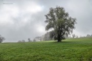 Schönberg im Herbst