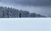 Schauinsland _ Schwarzwald