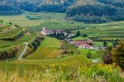 Herbst am Kaiserstuhl