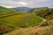 Herbst am Kaiserstuhl