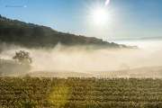 Herbst am Kaiserstuhl