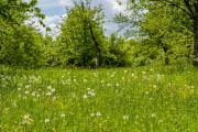 Natur