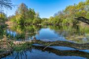 Rheinauen