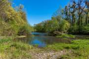 Rheinauen