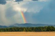 Regenbogen