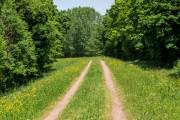Natur