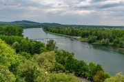 Rhein bei Sasbach