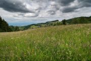 St.Ullrich