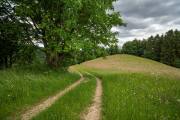 St.Ullrich