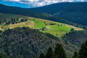 Schwarzwald