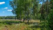 Schwenninger Moos