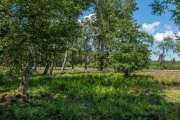 Schwenninger Moos