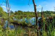 Schwenninger Moos