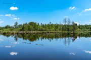 Schwenninger Moos