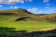 Herbst am Kaiserstuhl