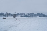 Winter am Kaiserstuhl