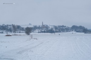 Winter am Kaiserstuhl