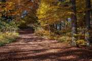Herbst auf der Schwäbischen Alb