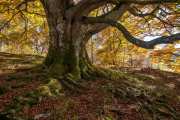 Herbst auf der Schwäbischen Alb