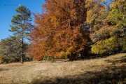 Herbst auf der Schwäbischen Alb