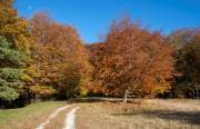 Herbst auf der Schwäbischen Alb