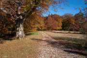 Herbst auf der Schwäbischen Alb