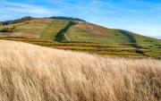 Herbst am Kaiserstuhl