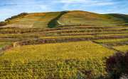 Herbst am Kaiserstuhl